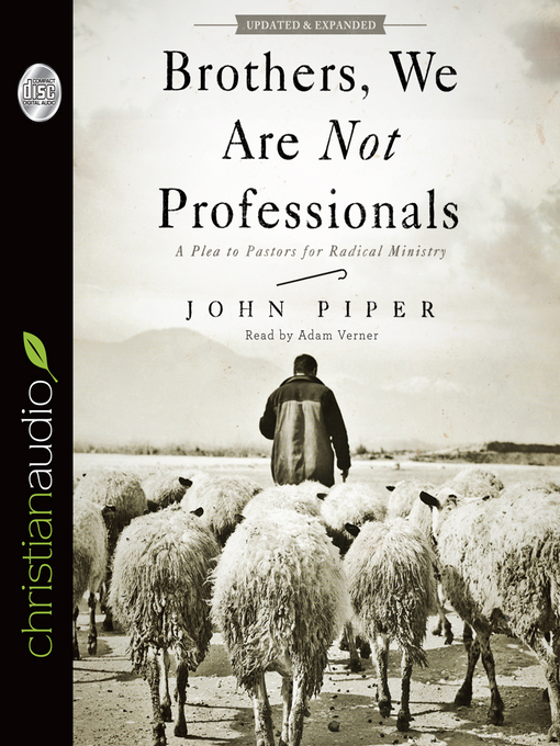 Cover image for Brothers, We Are Not Professionals